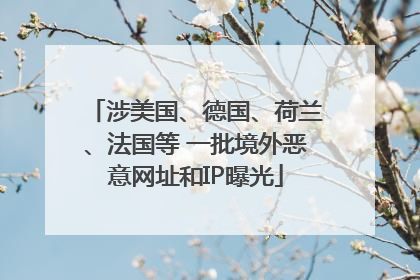 涉美国、德国、荷兰、法国等 一批境外恶意网址和IP曝光